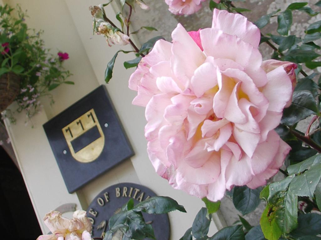 Buckland Tout Saints Hotel トットネス エクステリア 写真